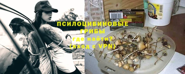 mdpv Алзамай