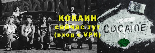 винт Дмитриев