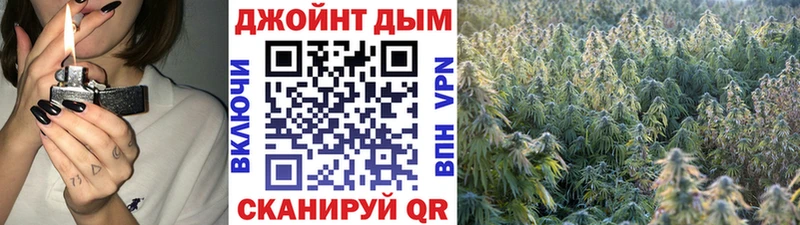 Бошки Шишки Amnesia  Гдов 